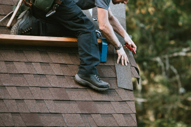 Roof Gutter Cleaning in Rowlett, TX